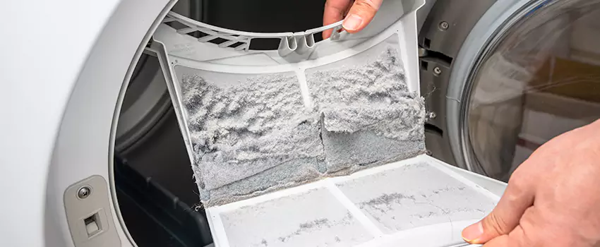 Best Dryer Lint Removal Company in Venice, Florida