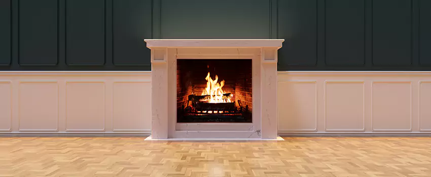 Napoleon Electric Fireplaces Inspection Service in Venice, Florida